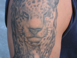 Художественная татуировка. Леопард в стиле black&gray