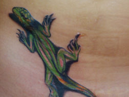 Тату Цветная ящерица в 3D