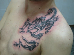 Художественная татуировка. Скорпион в стиле black&gray