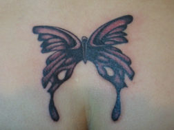 Художественная татуировка. Бабочка в стиле black&gray