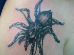 Паук в стиле black&gray 3D Тату