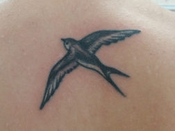 Татуировка - ласточка на спине