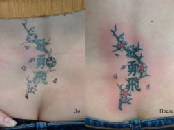 Исправление старой татуировки - Сакура. Cover-up