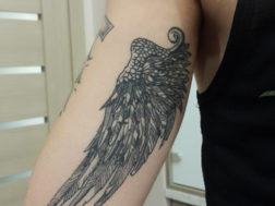 Татуировка - крыло на внутренней стороне руки