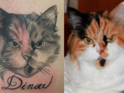 Тату - Рисунок кота