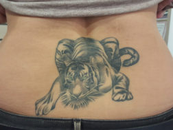 Сделать Тату Тигр на пояснице