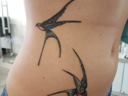 Птицы - Тату