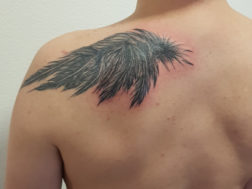 Татуировка Крыло на плече