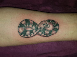Tattoo. Змея. Бесконечность