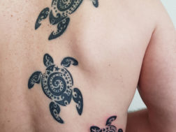 Тату: Черепахи на спине (значение: сила Земли и Воды)