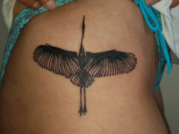 Тату Птица Аист на боку