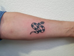 Тату Морская змея на руке