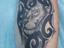 Татуировка на икре, лев в узоре трайбл