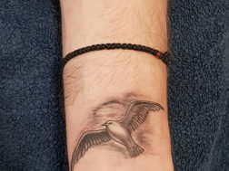 Татуировка на запястье, чайка в небе