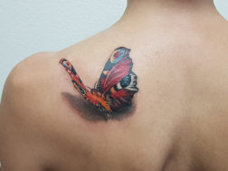 Татуировка на лопатке, бабочка в 3d, реализм