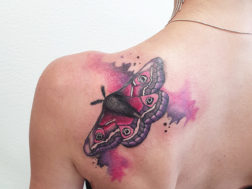 Татуировка стиле Акварель. Мотылек на лопатке